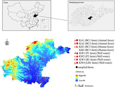 Dissemination of blaNDM-5 and mcr-8.1 in carbapenem-resistant Klebsiella pneumoniae and Klebsiella quasipneumoniae in an animal breeding area in Eastern China